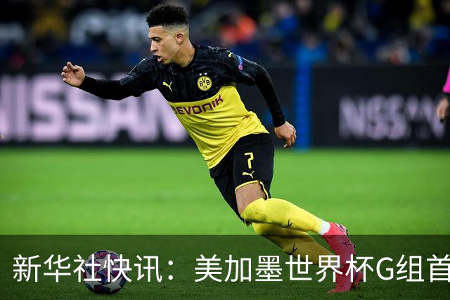 新华社快讯：美加墨世界杯G组首轮 伊朗队2:2平新西兰队